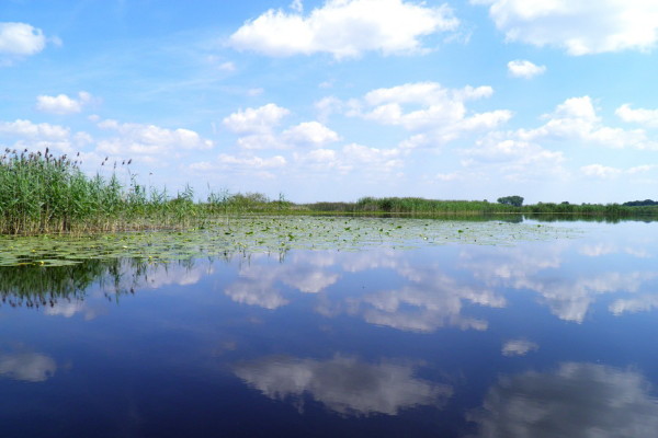 Image - A view of the Prypiat River.